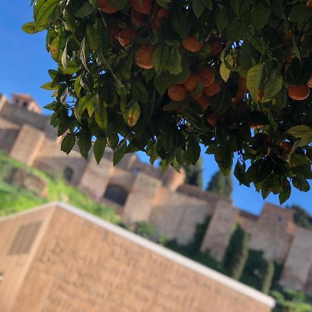 Dl Patio Malaga Διαμέρισμα Εξωτερικό φωτογραφία