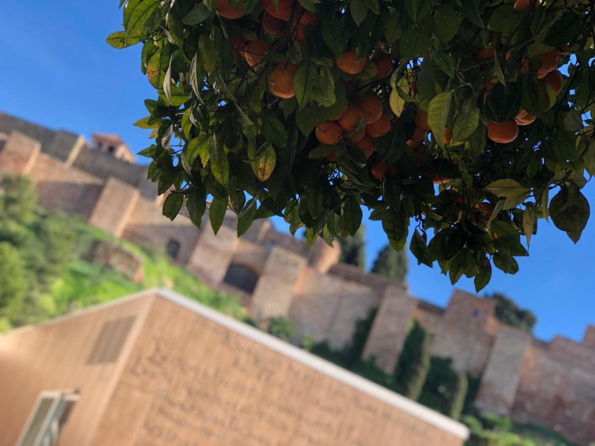Dl Patio Malaga Διαμέρισμα Εξωτερικό φωτογραφία